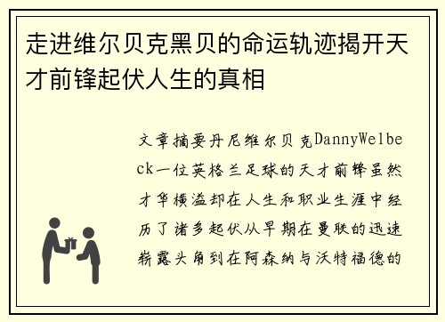 走进维尔贝克黑贝的命运轨迹揭开天才前锋起伏人生的真相
